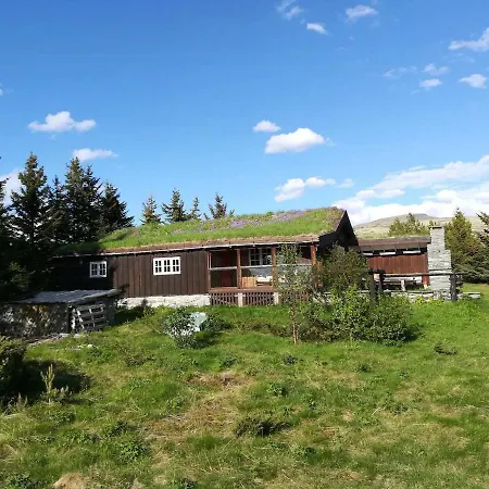 Historic Log By Rondane National Park Laargard