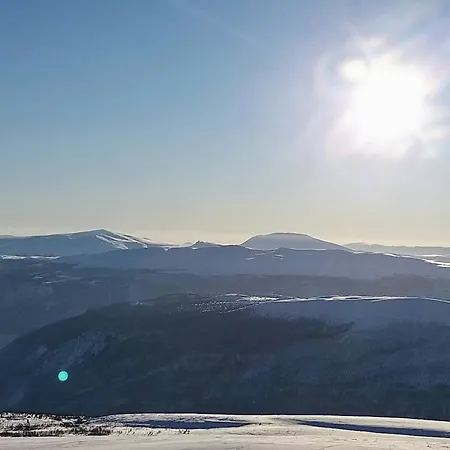 Historic Log By Rondane National Park Laargard