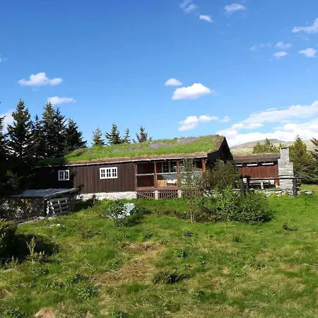 Historic Log By Rondane National Park Laargard