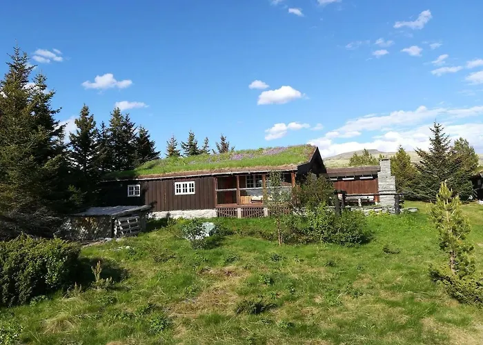 Historic Log By Rondane National Park Laargard