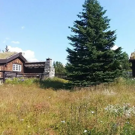 Historic Log By Rondane National Park Laargard